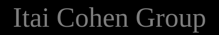 Itai Cohen Lab logo