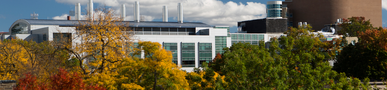 Duffield Hall in fall as viewed from the Engineering quad