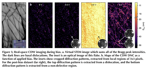 Figure 5, Cha's Publication