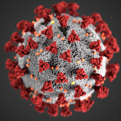 Ultrastructural morphology exhibited by coronaviruses