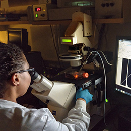 Researchers in professor Gary Whittaker’s lab view lab-grown cells through a microscope. 