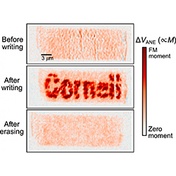 Isaiah Gray/Provided. The magnetic strength of a sample of iron rhodium is shown before writing, after writing, and after erasing, with the darker shades of red representing stronger magnetism.