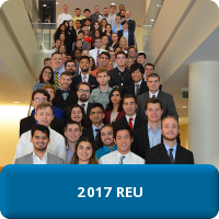 2017 REU Program Button Link