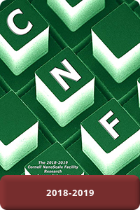 2018-2019 Research Accomplishments