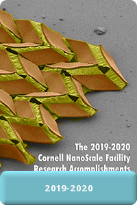 Cover image of 2019-2020 Research Accomplishments - links to Research Accomplishments page