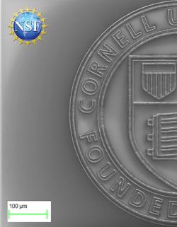 CNF NM V31N1 Back Cover
