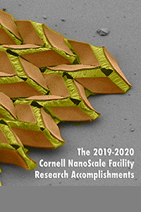 2019-2020 CNF Research Accomplishments Cover
