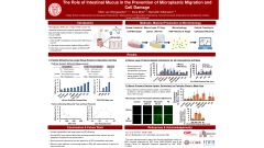 The Role of Intestinal Mucus in the Prevention of Microplastic Migration and Cell Damage
