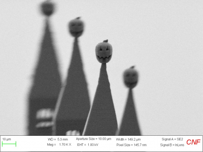 SEM image Showing the Pumpkin on the top of the 3D Nano McGraw Clocktower